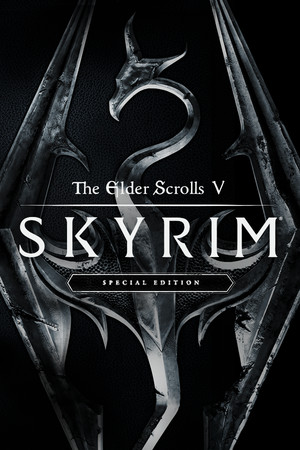 Couverture de The Elder Scrolls V: Skyrim Special Edition