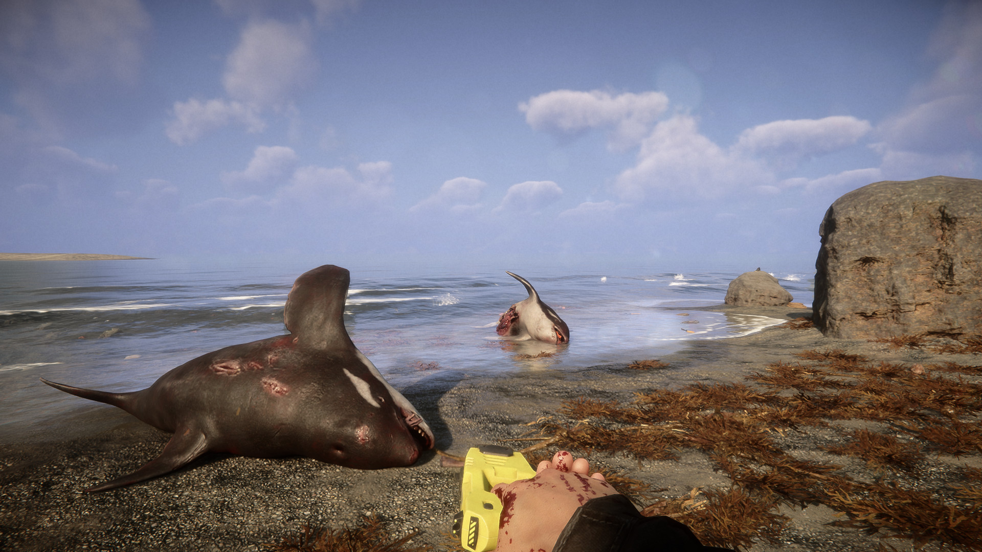 Sons Of The Forest — capture de gameplay 2
